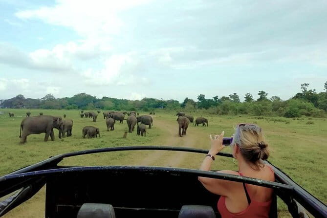 Udawalawe National Park Safari | Jeep with Tickets - Who Should Book This Safari?
