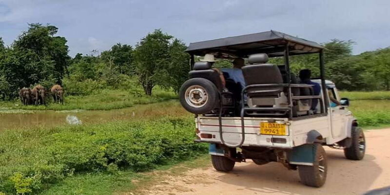 Udawalawe National Park Safari Tour - Key Points