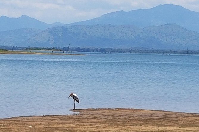 Udawalawe National Park Safari trip from Galle/Mirissa/Ella - FAQ