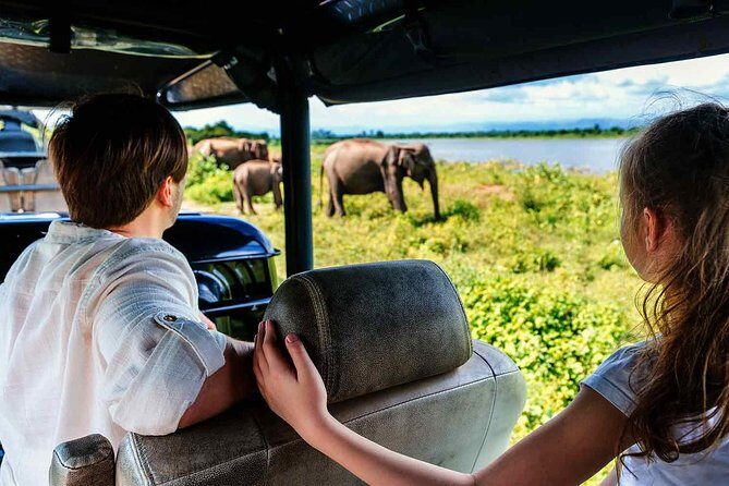 Udawalawe National Park Safari with Elephant Transit Home Visit - The Practical Aspects