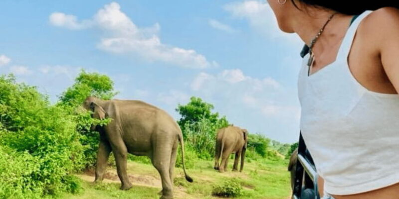 Udawalawe National Park: Safari with Experienced Driver - FAQ