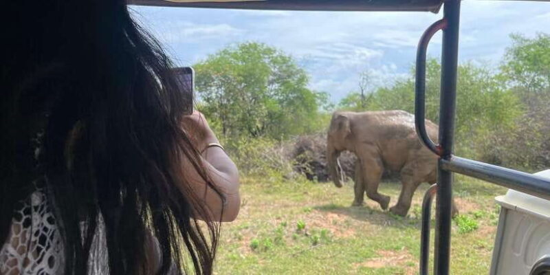 Udawalawe National Park Wildlife Safari from Bentota - Key Points