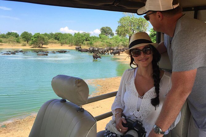 Udawalawe National park with Elephant Transit Home From Colombo - Exploring Udawalawe: A Day in the Wild