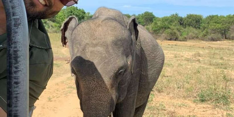 Udawalawe National park with Safari jeep & Entrance ticket - Who Should Consider This Tour?