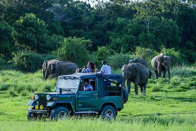 Udawalawe Safari Day Trip from South Region & Transfer to Ella - Key Points