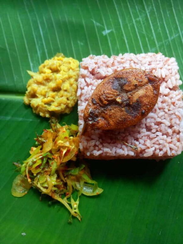 Udawalawe: Udawalawe Cooking experience with local family - Practical Details That Matter