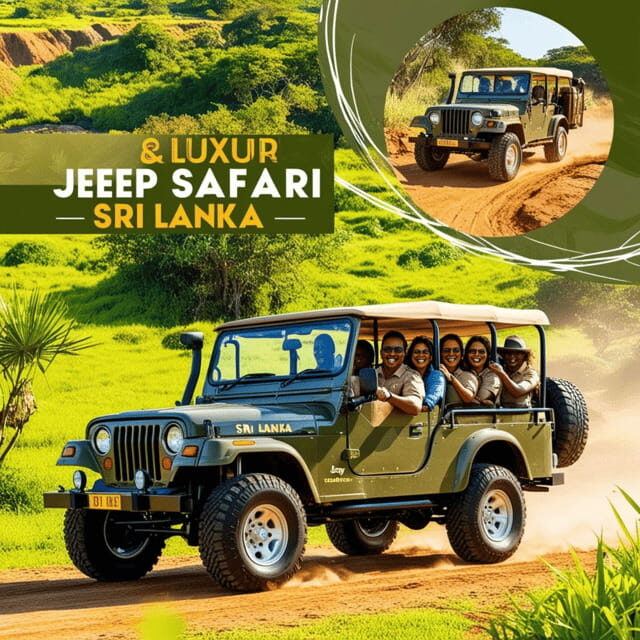 Udawalawe:Tickets Lux Jeep Safari & Elephant Orphanage Visit - Who Will Love This Tour?