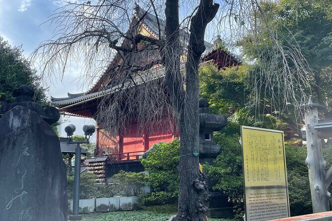 Ueno Local Bar Walk - The Sum Up: The Bottom Line