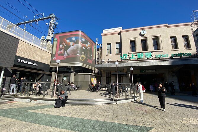 Ueno Park Ameyoko Market Walking Tour with Japanese Tokyo Local - What to Expect from Your Experience