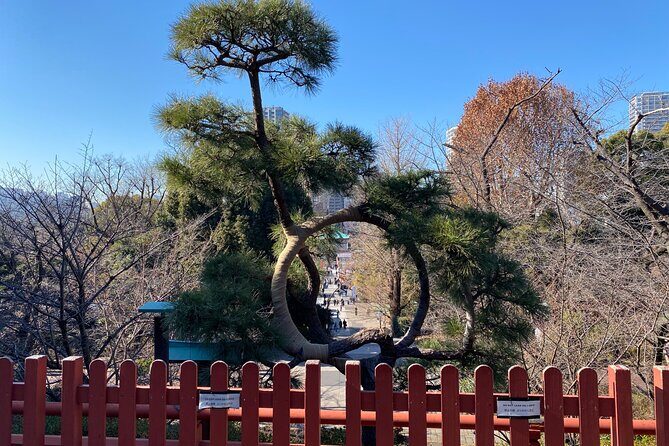 Ueno Park Ameyoko Market Walking Tour with Japanese Tokyo Local - Final Thoughts
