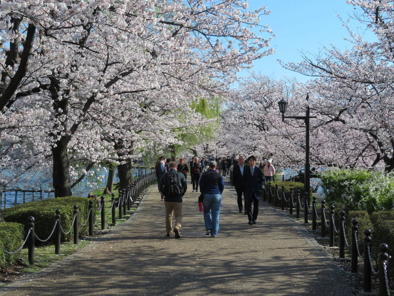 Ueno Park & Ameyoko Shopping Street Half-day Walking & Guided Tour - What makes this half-day walk useful
