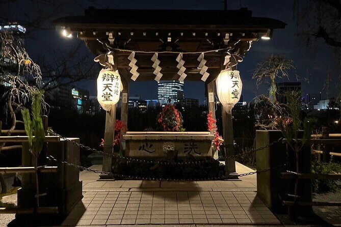 Ueno Private Walking Tour and Night Food Tour - Ueno Private Walking Tour and Night Food Tour: A Nighttime Adventure in Tokyo