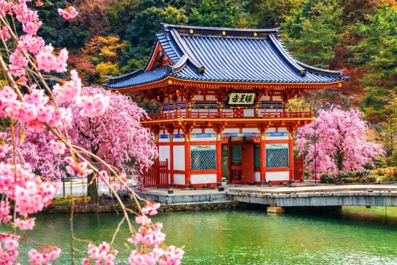 Uji Byodoin & Uji Matcha Food Street & Uji River & Uji Park & Fushimi Inari Taisha & Katsuo-ji Daruma Wall Day Tour (Departing from Osaka and Kyoto) - Fushimi Inari: choose your torii-gate walk