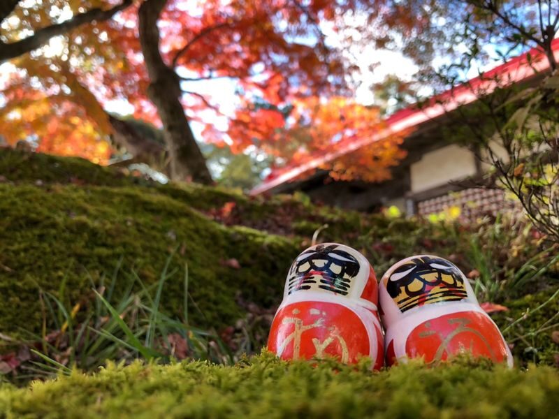 Uji Byodoin & Uji Matcha Food Street & Uji River & Uji Park & Fushimi Inari Taisha & Katsuo-ji Daruma Wall Day Tour (Departing from Osaka and Kyoto) - What the guide adds, and what remains your own job