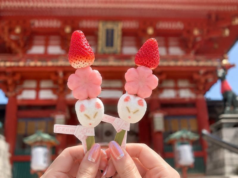 Uji Byodoin & Uji Matcha Food Street & Uji River & Uji Park & Fushimi Inari Taisha & Katsuo-ji Daruma Wall Day Tour (Departing from Osaka and Kyoto) - Who should book this day tour?