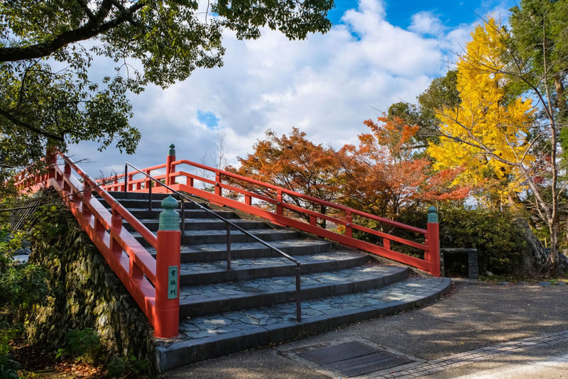 Ujis Romance: Byodo-in, Tea & the Legacy of Genjis Timeless Tales - Byodoin sets the tone for the morning