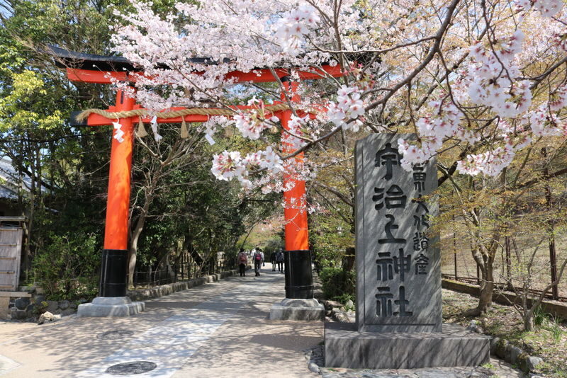Ujis Romance: Byodo-in, Tea & the Legacy of Genjis Timeless Tales - Ujigami Shrine adds a quieter spiritual stop