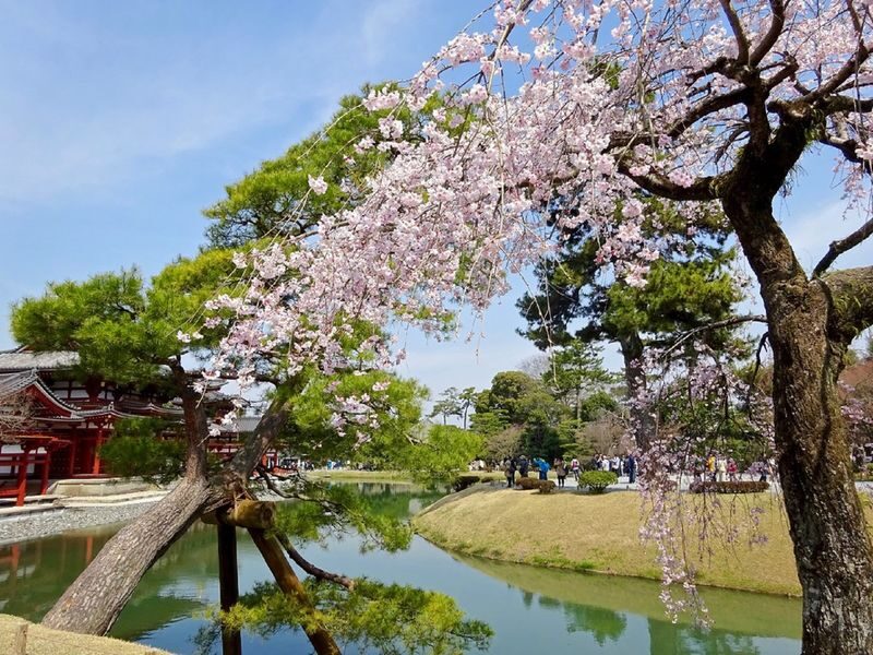 Uji Tea Ceremony and UNESCO Heritage Walking Tour - Matcha at Chazuna, with one detail to verify