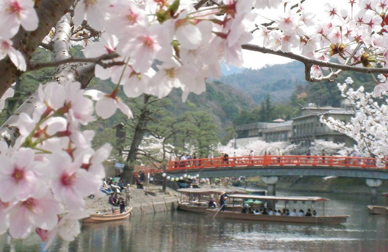 Uji Tea Ceremony and UNESCO Heritage Walking Tour - What the price buys, and who gets the best value