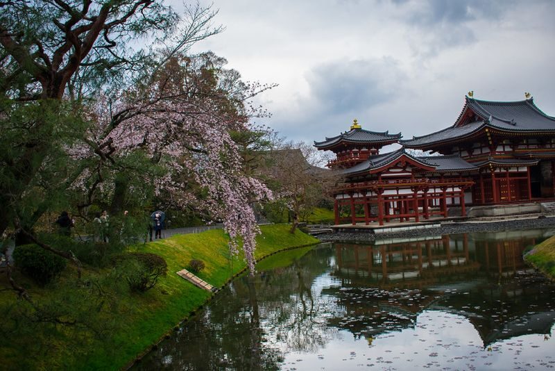 Uji Tea Ceremony and UNESCO Heritage Walking Tour - Practical details before you go