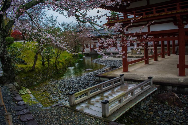 Uji Tea Ceremony and UNESCO Heritage Walking Tour - Should you book this Uji tour?