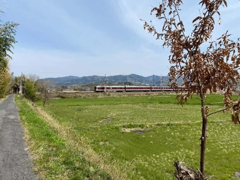 Uji: Tea Ceremony, Calligraphy, and Tea Field Walking Tour - Key Points