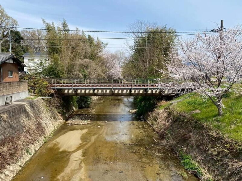 Uji: Tea Ceremony, Calligraphy, and Tea Field Walking Tour - Why This Tour Stands Out