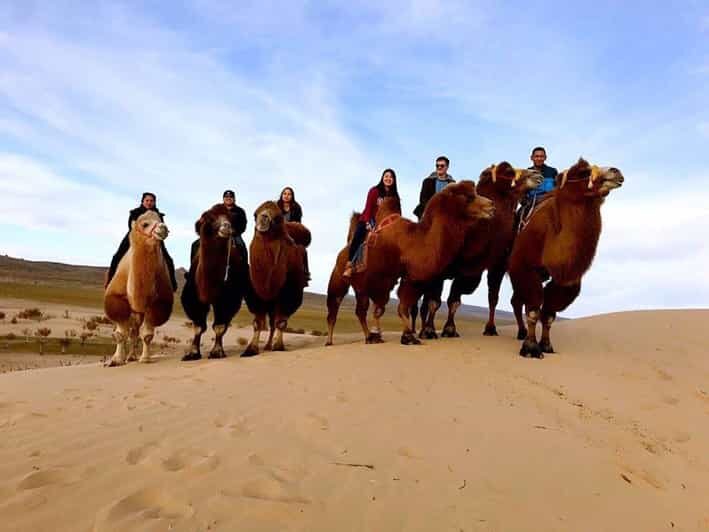 Ulaanbaatar: Semi-Gobi Desert Day Trip & Camel Ride - Key Points