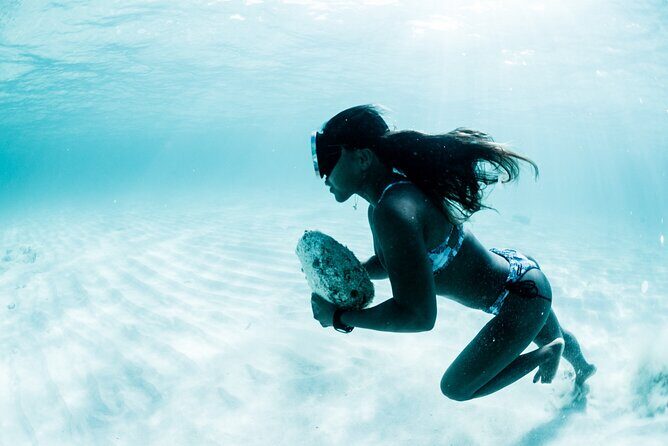 Ulap Surf - Authentic Feedback from Real Travelers