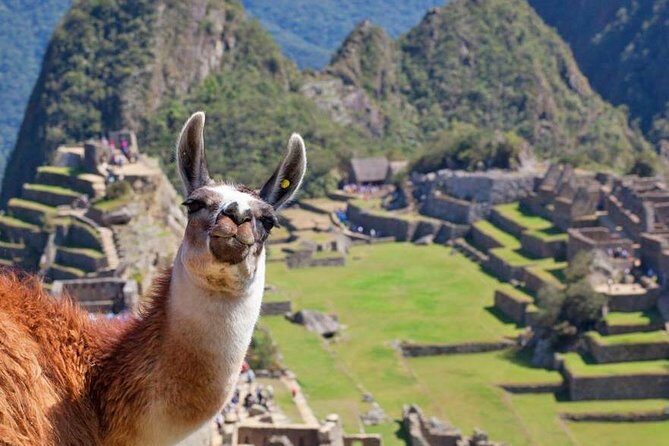 Ultimate 1-Day Machu Picchu Adventure by Train - Detailed Review of the Machu Picchu Day Tour