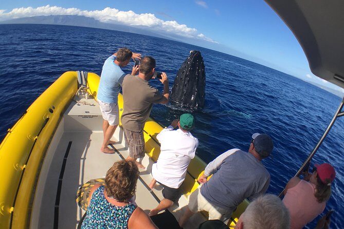 Ultimate 2 Hour Exclusive VIP Whale Watch Tour - FAQ