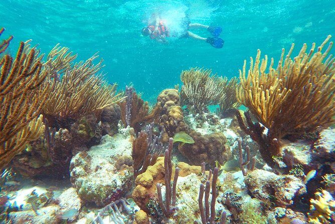 Ultimate 5x1 Combo with ATV, Ziplines, Cenote & Reef Snorkeling - An In-Depth Look at This Cancun Combo Tour