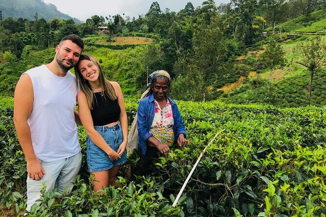 Ultimate 8-Day Sri Lanka Adventure: Private Guided Tour - Discovering the Heart of Sri Lanka: A Deep Dive