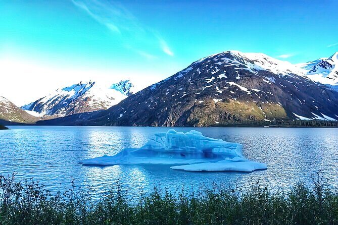 Ultimate Anchorage and Turnagain Arm Private Full Day Tour - Portage Valley and Lake for Glacial Views
