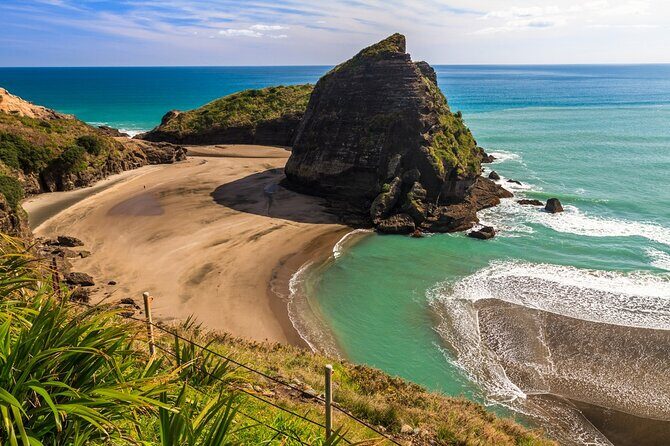 Ultimate Auckland Experience Full Day Tour with Brewery Lunch - The Sum Up: Who Will Love This Tour?