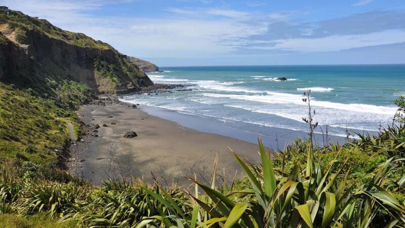 Ultimate Auckland Experience Full Day Tour with Lunch - Who Should Consider This Tour