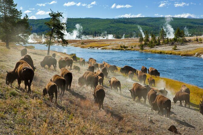 Ultimate Audio Tours: Yellowstone, Glacier, Grand Teton & Banff - Final Impressions
