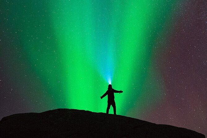 Ultimate Aurora Hunt Northern Lights Van Tour with Hot Drinks - A Detailed Look at the Aurora Hunt Experience