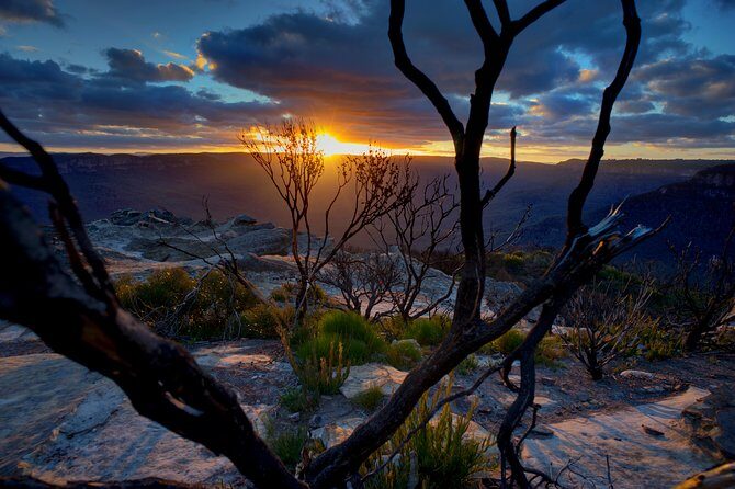 Ultimate Blue Mountains and Wildlife Tour - Experience the Blue Mountains and Wildlife in Comfort and Style