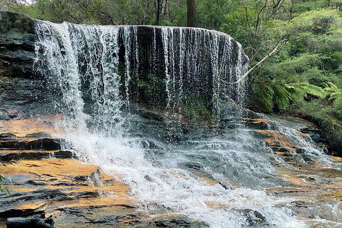 Ultimate Blue Mountains Private Tour with Scenic World and Wildlife Park - What We Think: The Practicalities and Value