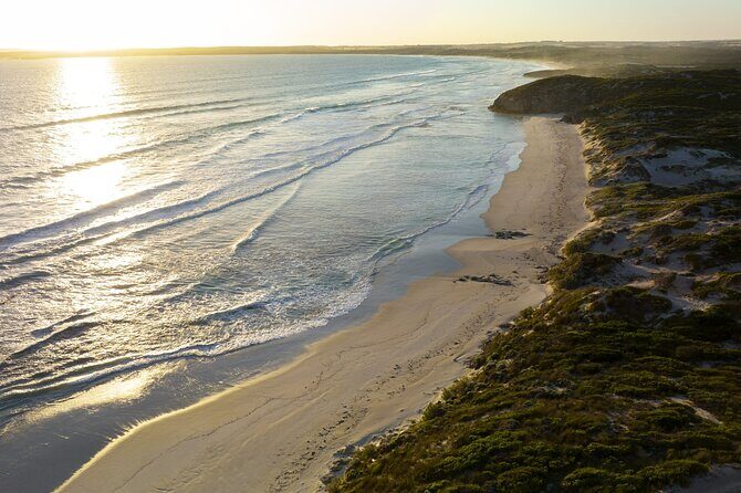 Ultimate Buggy Tour in Kangaroo Island - Final Thoughts: Who Will Love This Tour?