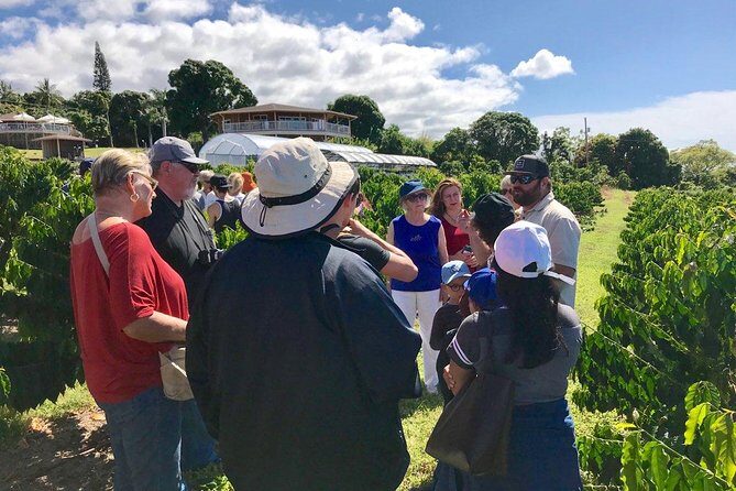 Ultimate Circle Island Explorer From Kona Or Kohala Resorts - The Sum Up