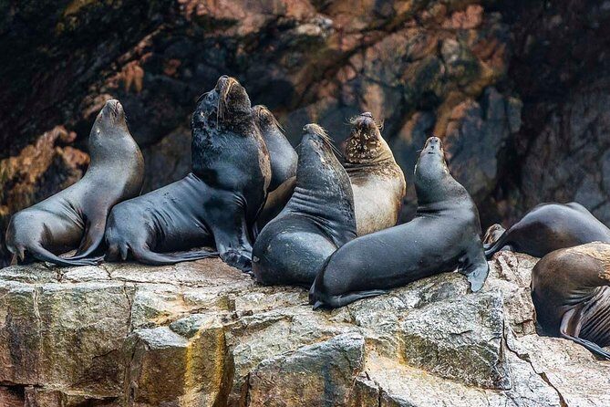 Ultimate Comfort: Lima to Huacachina, Ballestas and Vineyard - Deep Dive into the Itinerary: Why It Works