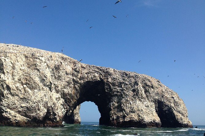 Ultimate Comfort: Lima to Huacachina, Ballestas and Vineyard - Summary: Why Choose This Tour?