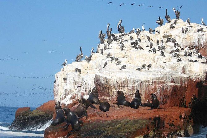 Ultimate Comfort: Lima to Huacachina, Ballestas and Vineyard - Frequently Asked Questions