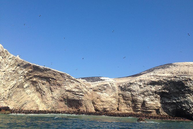 Ultimate Comfort: Lima to Huacachina, Ballestas and Vineyard - The Price and Value: Is It Worth It?
