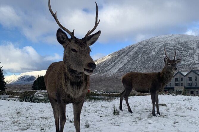 Ultimate Day tour Edinburgh: Glencoe, Highland Cows, Loch Lomond - Exploring the Itinerary in Detail