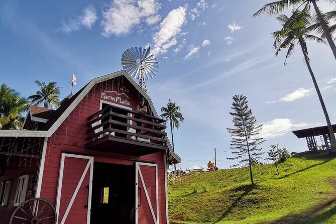 Ultimate Full Day Albay Bicol Philippines Tour with Mayon Skyline - A Deep Dive into the Experience