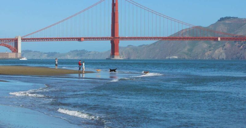 Ultimate Golden Gate Bridge & SF Bay Explorer Tour - Ultimate Golden Gate Bridge & SF Bay Explorer Tour: A Detailed Review