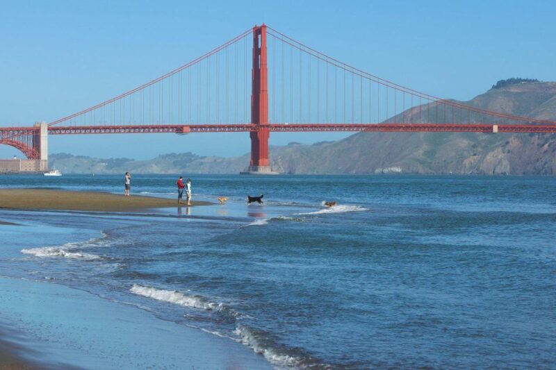 Ultimate Golden Gate Bridge & SF Bay Explorer Tour - Final Thoughts